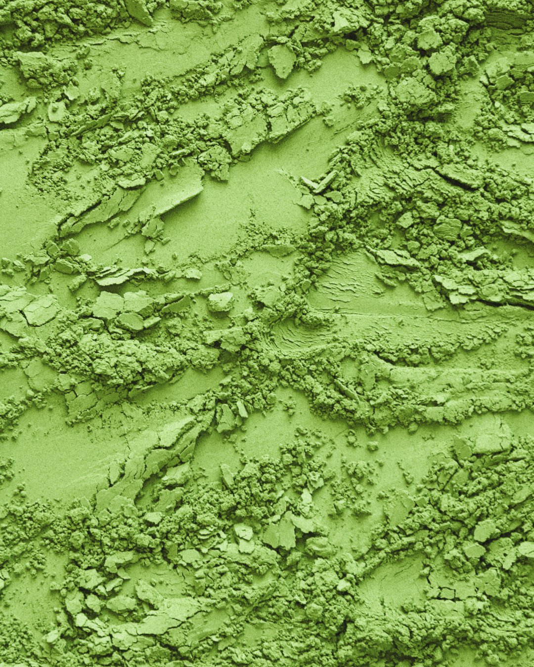 Japanese Matcha